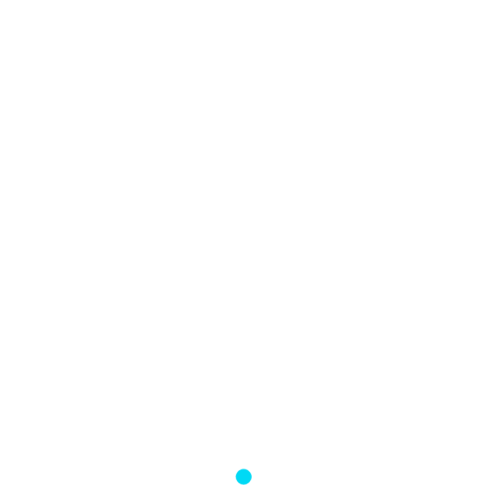 Circulo branco com circulo menor azul