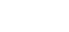 logo magnetis